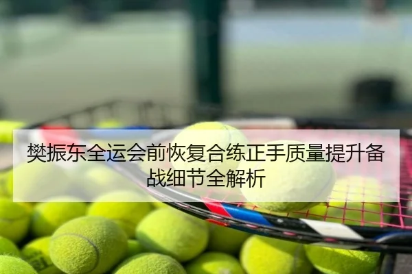 樊振东全运会前恢复合练正手质量提升备战细节全解析